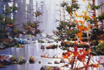 Quiet Late Light by Bi Yuan Cheng