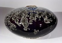 Bulb Dark Star by Bill Boyd