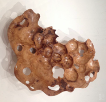 Rain Drops by Bruce Edmundson