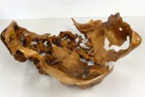 Half Shell by Bruce Edmundson