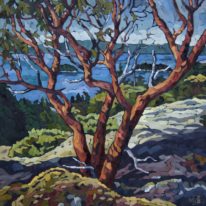 Summit Vista by Mary-Jean Butler