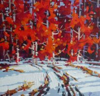 Red Star by Bi Yuan Cheng