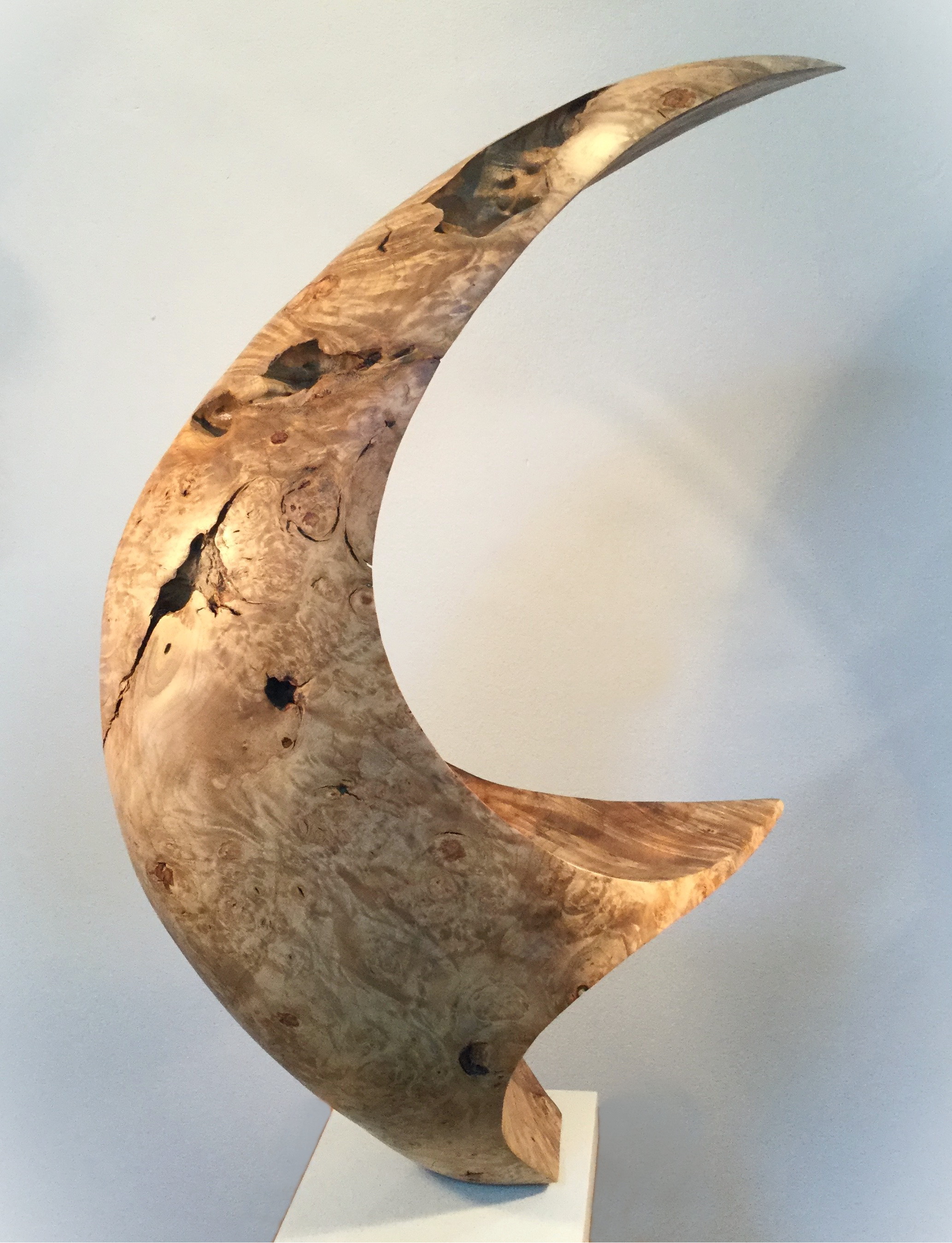 Homeward Bound by Bruce Edmundson at The Avenue Gallery, a contemporary fine art gallery in Victoria, BC, Canada.