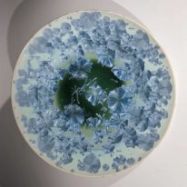 Green Plate by Bill Boyd at The Avenue Gallery, a contemporary fine art gallery in Victoria, BC, Canada.