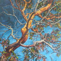 Ascending by Mary-Jean Butler