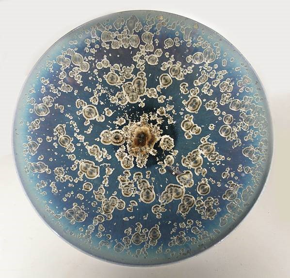 Blue Bowl #789 by Bill Boyd at The Avenue Gallery, a contemporary fine art gallery in Victoria, BC, Canada.