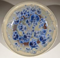 Blue-Amber Bowl #792 by Bill Boyd at The Avenue Gallery, a contemporary fine art gallery in Victoria, BC, Canada.