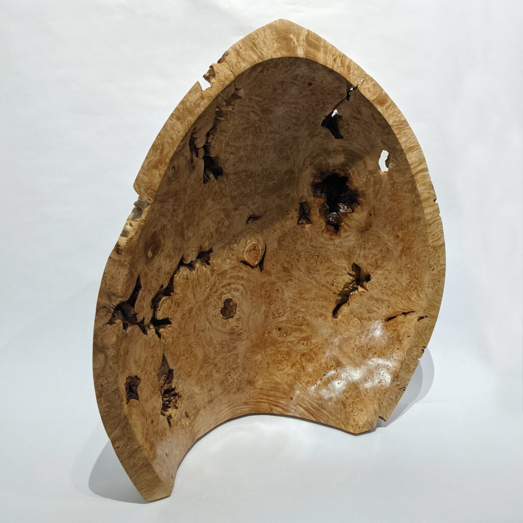 Shelter by Bruce Edmundson at The Avenue Gallery, a contemporary fine art gallery in Victoria, BC, Canada.