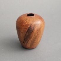 Arbutus Petite by Robert Wilman at The Avenue Gallery, a contemporary fine art gallery in Victoria, BC, Canada.