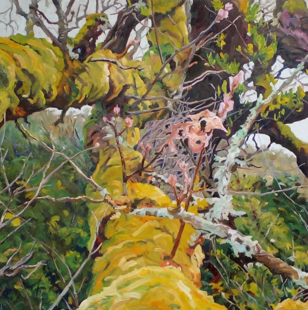 Cattle Point, Oak Bay by Richard Motchman at The Avenue Gallery, a contemporary fine art gallery in Victoria, BC, Canada.