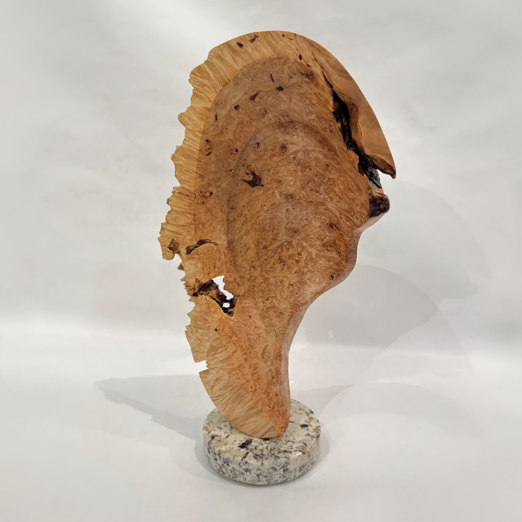 Hear, Hear by Bruce Edmundson at The Avenue Gallery, a contemporary fine art gallery in Victoria, BC, Canada.