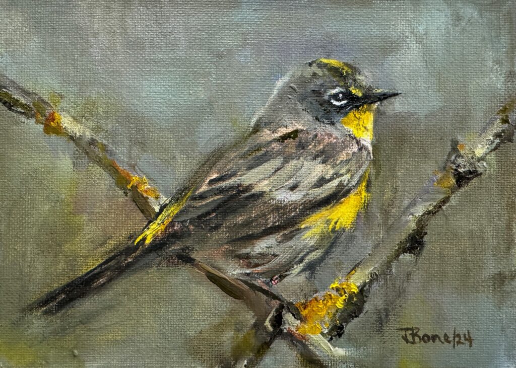 Yellow Rumped Warbler by Tanya Bone at The Avenue Gallery, a contemporary fine art gallery, in Victoria, BC, Canada.
