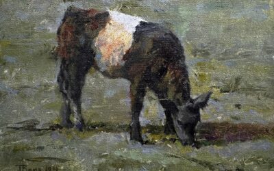 Artistic Solstice Splendour