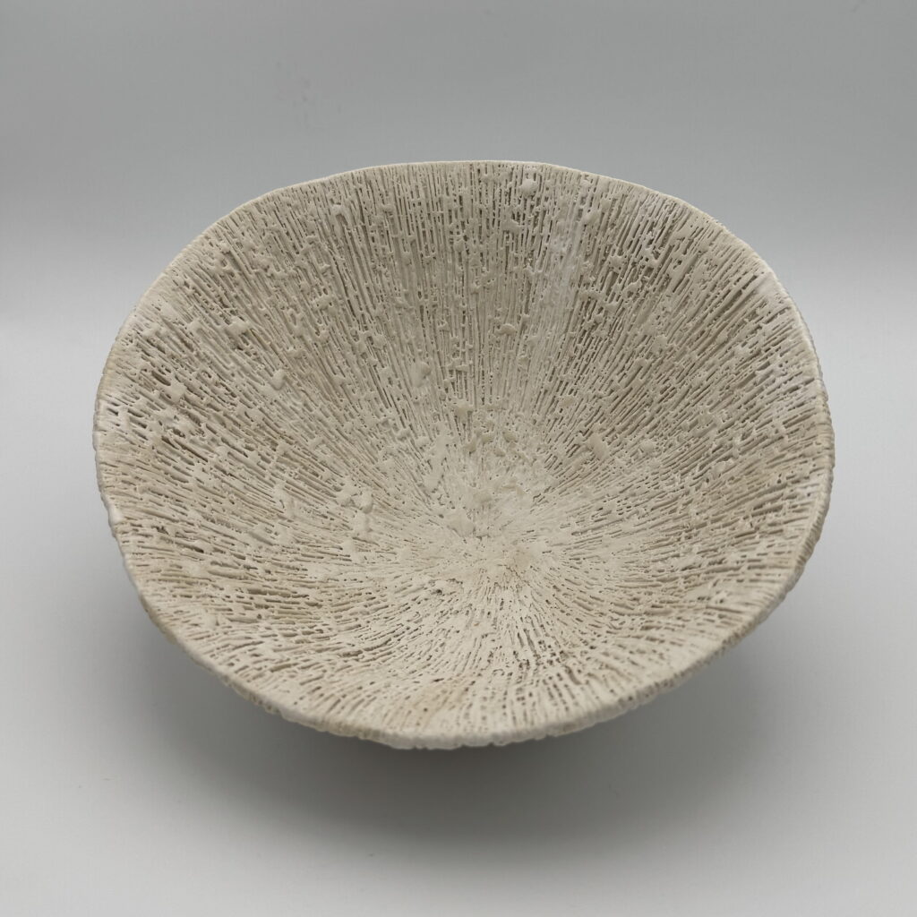 White Limpet by Aileen Vantomme at The Avenue Gallery, a contemporary fine art gallery in Victoria, BC, Canada.