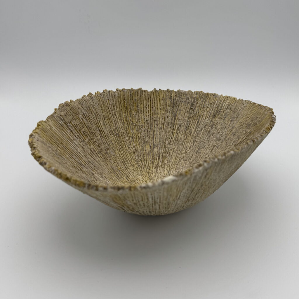 Vanadium Limpet by Aileen Vantomme at The Avenue Gallery, a contemporary fine art gallery in Victoria, BC, Canada.