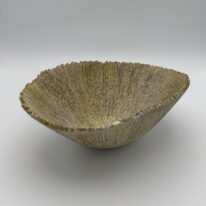 Vanadium Limpet by Aileen Vantomme at The Avenue Gallery, a contemporary fine art gallery in Victoria, BC, Canada.