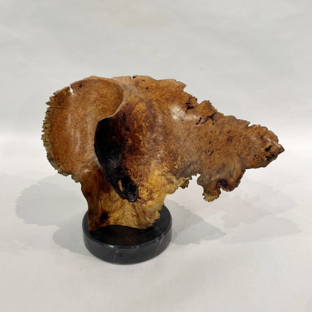 Galaxy by Bruce Edmundson at The Avenue Gallery, a contemporary fine art gallery in Victoria, BC, Canada.