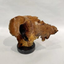 Galaxy by Bruce Edmundson at The Avenue Gallery, a contemporary fine art gallery in Victoria, BC, Canada.