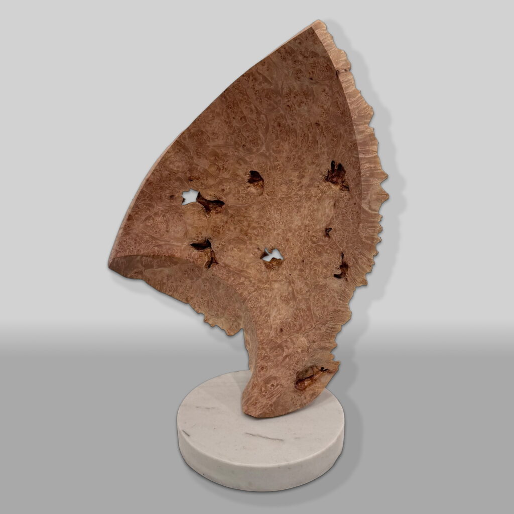 Rocket Ship by Bruce Edmundson at The Avenue Gallery, a contemporary fine art gallery in Victoria, BC, Canada.