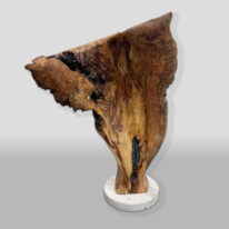 Veteran by Bruce Edmundson at The Avenue Gallery, a contemporary fine art gallery in Victoria, BC, Canada.