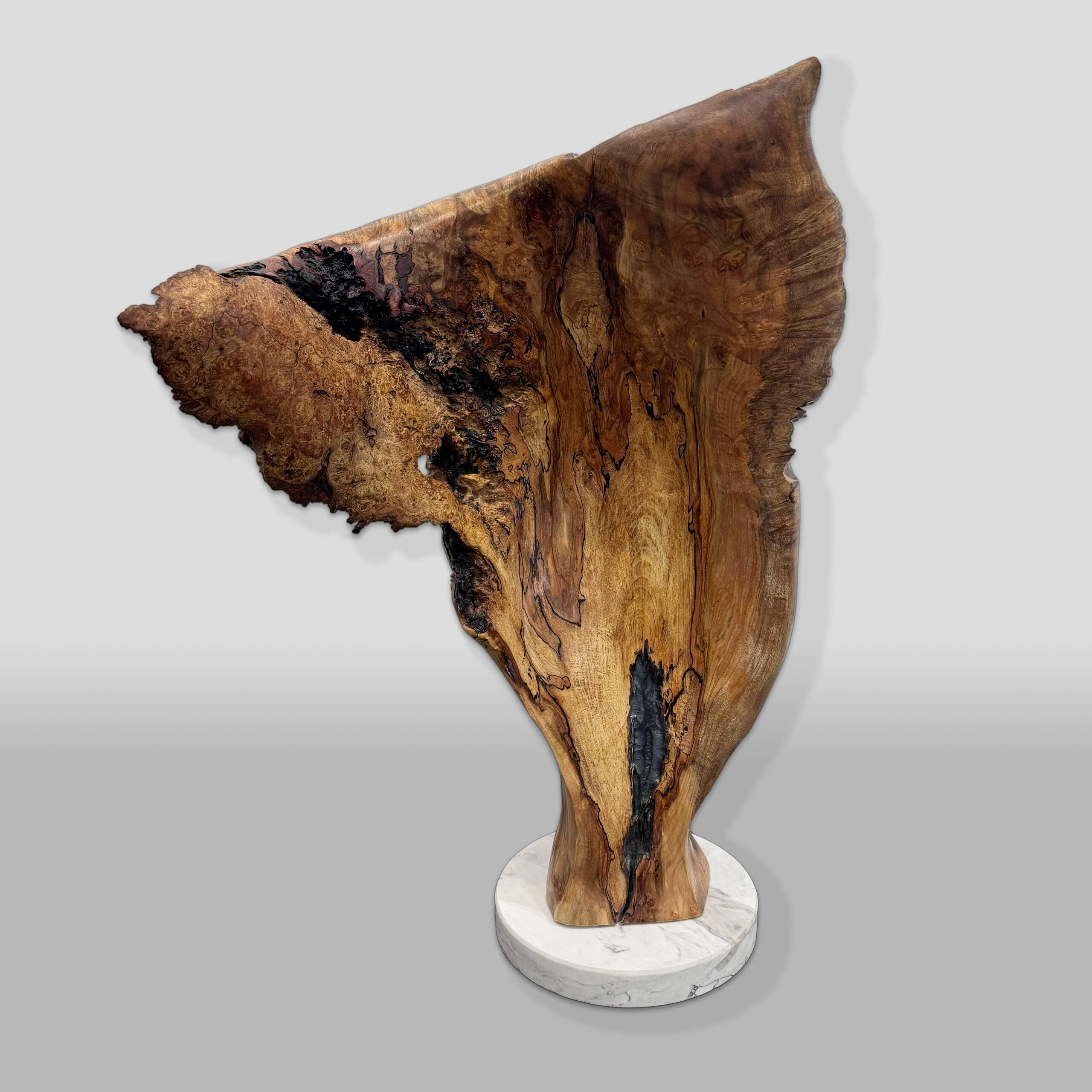 Veteran by Bruce Edmundson at The Avenue Gallery, a contemporary fine art gallery in Victoria, BC, Canada.