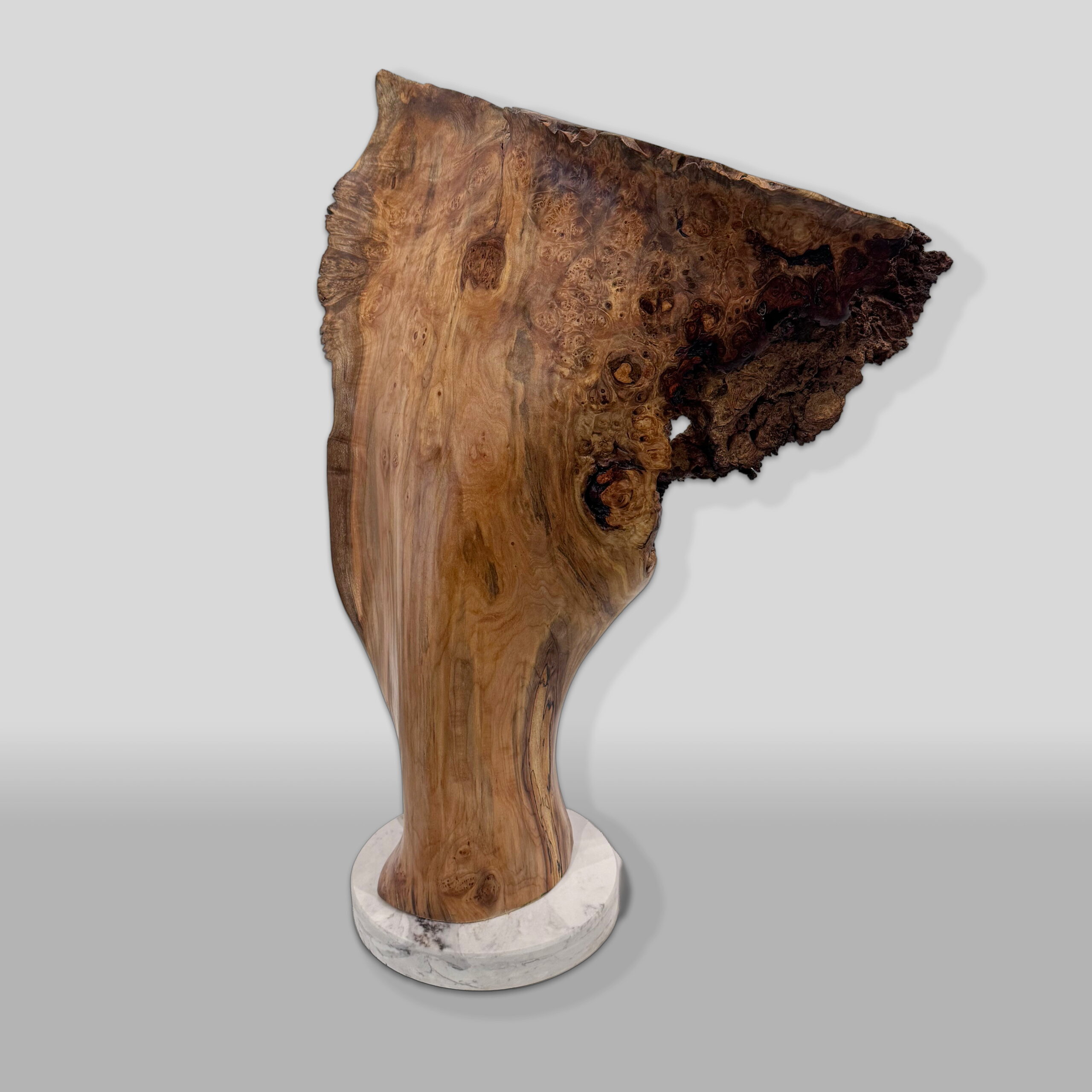 Veteran by Bruce Edmundson at The Avenue Gallery, a contemporary fine art gallery in Victoria, BC, Canada.