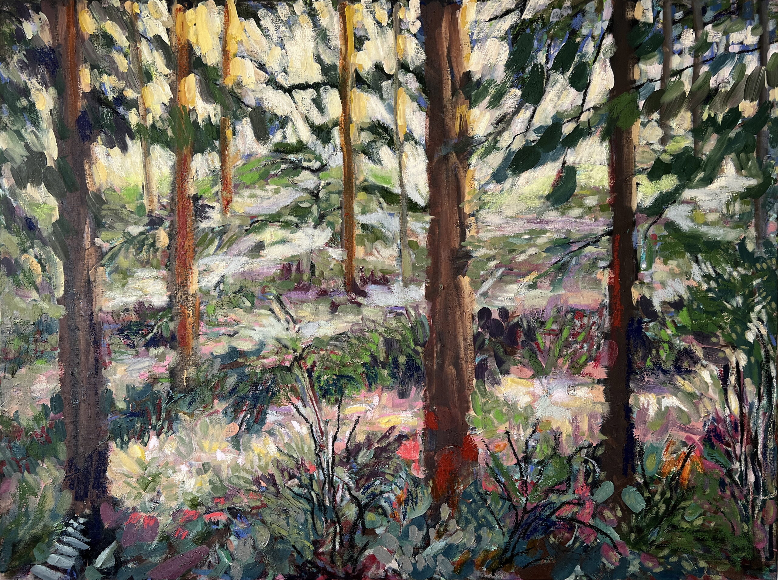 Forest Study by Stephanie Taylor at The Avenue Gallery, a contemporary fine art gallery in Victoria, BC, Canada.