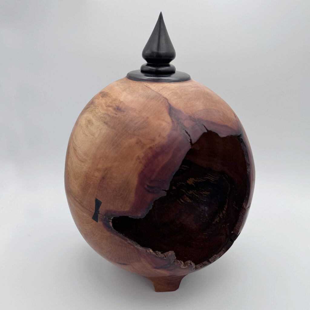 Canker Arbutus Hollow Form by Robert Wilman at The Avenue Gallery, a contemporary fine art gallery in Victoria, BC, Canada.