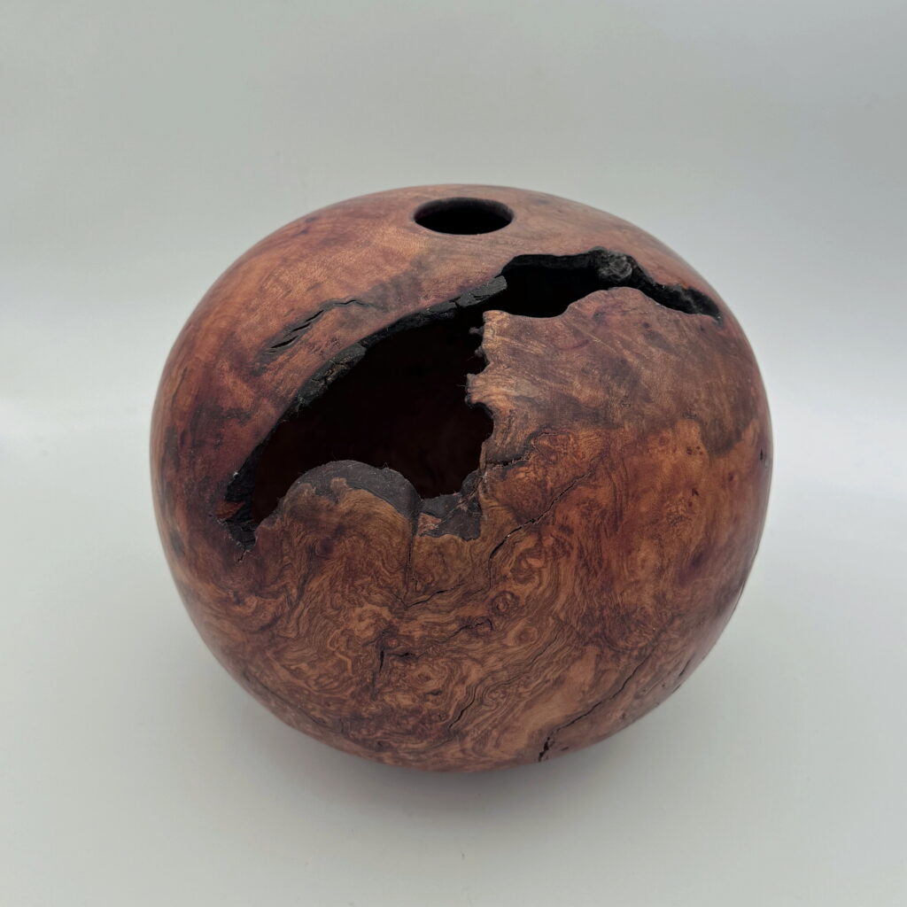 Arbutus Burl Hollow Form by Robert Wilman at The Avenue Gallery, a contemporary fine art gallery in Victoria, BC, Canada.